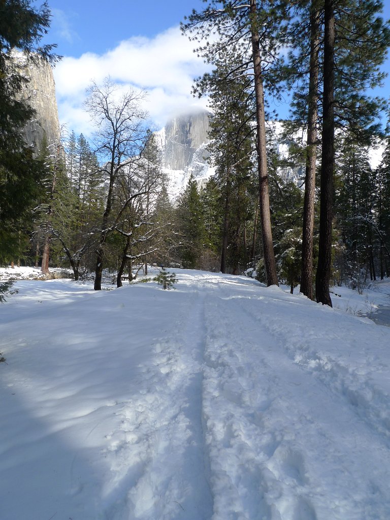 Yosemite_Valley (49).JPG